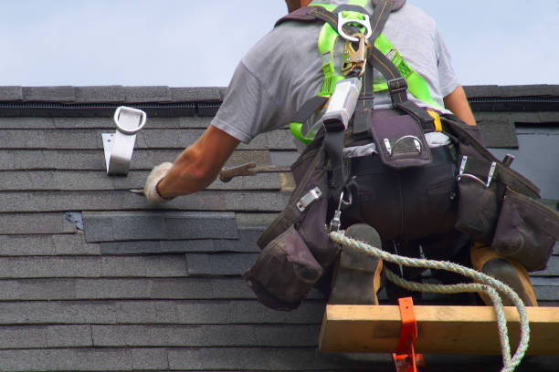 Best Shingle Roofing Installation  in Portola, CA