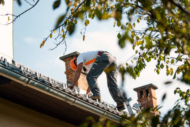 Best New Roof Installation  in Portola, CA